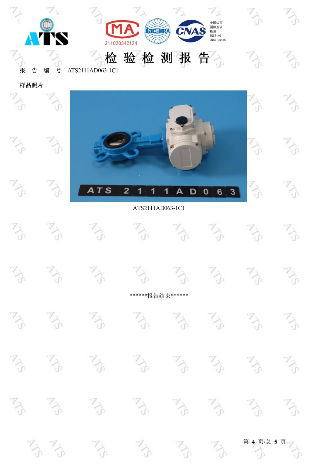 電動閥檢驗檢測報告